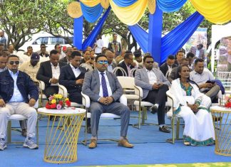 “ይህ ቀን ለኢትዮጵያ የትንሣኤ ቀን ነው” ድረስ ሳህሉ (ዶ.ር)