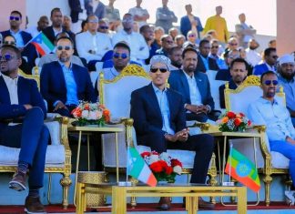 “በሶማሌ ክልል ያየነው የድጋፍ ሰልፍ ብልጽግናን ለማረጋገጥ ስንቅ የሚሆን ነው” ምክትል ጠቅላይ ሚኒስትር ተመስገን ጥሩነህ