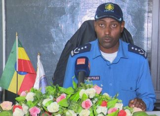 የመስቀል በዓል በሰላም እንዲከበር አስፈላጊውን ዝግጅት ማድረጉን የጎንደር ከተማ አሥተዳደር ፖሊስ መምሪያ አስታወቀ።