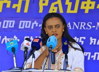 “የአገልግሎት አሰጣጥ ችግሮችን ለመሻገር የሚያስችሉ ሥራዎች እየተሠሩ ነው” ባንቺዓምላክ ገብረ ማርያም