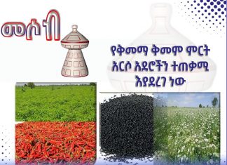የቅመማ ቅመም ምርት አርሶ አደሮችን ተጠቃሚ እያደረገ ነው።
