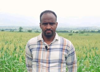 “መልካም” የማሽላ ምርጥ ዘር አርሶ አደሮችን ውጤታማ እያደረገ ነው።