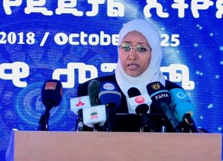 “በ2017 ከ13 ሺህ በላይ የሳይበር ጥቃቶች በሀገራችን ላይ ተሞክረዋል”