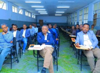 የከፍተኛ ትምህርት ተቋማት በትምህርት ላይ የተፈጠረውን ችግር ለመቀልበስ የማይተካ ሚና አላቸው።