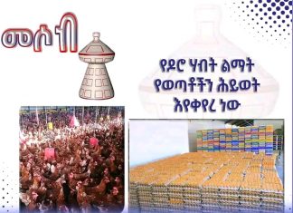 የዶሮ ሃብት ልማት የወጣቶችን ሕይወት እየቀየረ ነው።