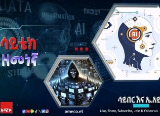 የሳይበር ጥቃት የዓለም ስጋት ነው።