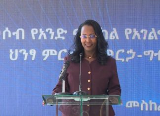 የቦሌ ክፍለ ከተማ የመሶብ አንድ ማዕከል አገልግሎት ሥራ ጀመረ።