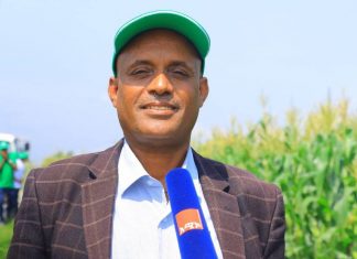 የአፈር አሲዳማነትን በመከላከል ምርታማነትን ለመጨመር እየተሠራ ነው።