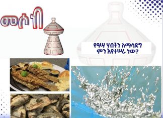 የዓሣ ሃብትን ለማሳደግ ምን እየተሠራ ነው?