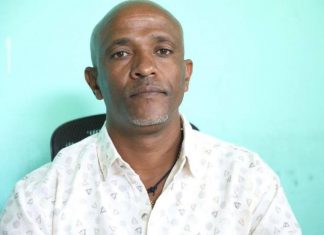 በኤፍራታ እና ግድም ወረዳ የግሪሳ ወፍ ስጋት ደቅኗል።