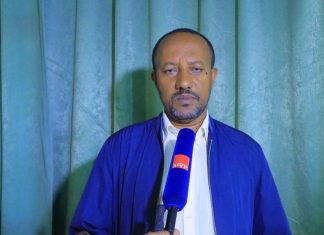 አዳዲስ የበቆሎ ዝርያን በማውጣት ምርትን ለማሳደግ እየተሠራ ነው።