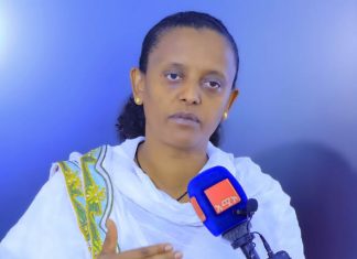 በክልሉ መሶብ የአንድ ማዕከል አገልግሎትን ለማስፋት እየተሠራ ነው።