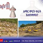 ለማር ምርት ጥራት ይጠነቀቃሉ ? 572097446_1254489726708949_3318623046587213970_n