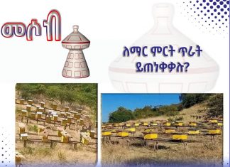 ለማር ምርት ጥራት ይጠነቀቃሉ ?