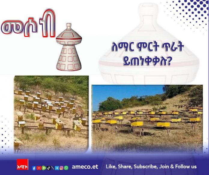 572097446_1254489726708949_3318623046587213970_n