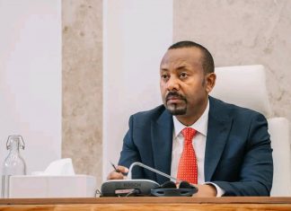 በአረንጓዴ አሻራ አማካኝነት 48 ቢሊዮን ችግኞችን መትከል ተችሏል።