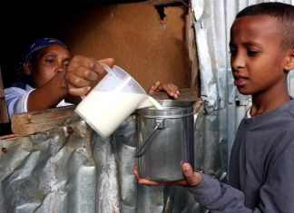 ኮሌጆች የአካባቢውን ጸጋ ለይተው በመሥራት ማሳያ እየኾኑ ነው።