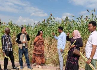 በልማታዊ ሴፍቲኔት ተጠቃሚ የኾኑ ዜጎች ከራሳቸው አልፈው ለሌሎች የሚተርፍ ሥራ እየሠሩ ነው።