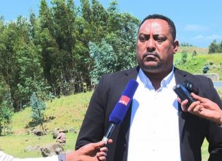 ወጣቶች ልማትን ማሳለጥ እና ሰላምን ማስፈን ይጠበቅባቸዋል።