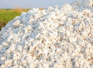 ከውጭ የሚገቡ ምርቶችን በሀገር ውስጥ ምርት መተካት ሀገራዊ ሉዓላዊነትን ማረጋገጥ ነው።