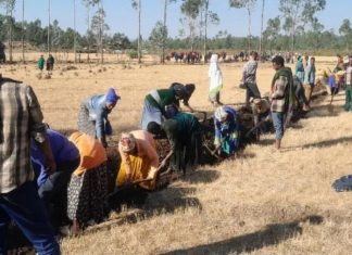 የተፋሰስ ልማት ሥራው ምርታማነት በመጨመር ተጨባጭ ለውጦችን አምጥቷል።