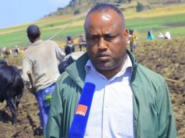 የማዕከላዊ ጎንደር ዞን በበጋ መስኖ ልማት 4 ነጥብ 3 ሚሊዮን ኩንታል ምርት ለማምረት እየሠራ ነው።