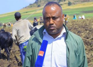 የማዕከላዊ ጎንደር ዞን በበጋ መስኖ ልማት 4 ነጥብ 3 ሚሊዮን ኩንታል ምርት ለማምረት እየሠራ ነው።