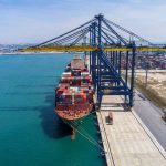 "የአፍሪካ ምልክት፤ የጥቁሮች አብነት" 1762432527808