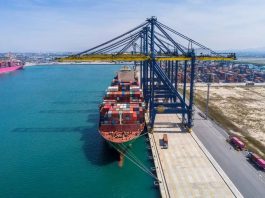 “የአፍሪካ ምልክት፤ የጥቁሮች አብነት”