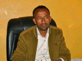 በጫካ የነበሩ ታጣቂዎች የሰላም አማራጭን ተቀበሉ።