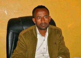 በጫካ የነበሩ ታጣቂዎች የሰላም አማራጭን ተቀበሉ።