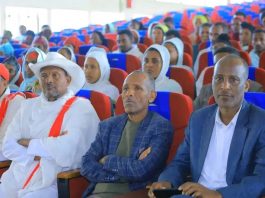 የብሔር ብሔረሰቦች ቀን መከበር ሀገራዊ እሴቶች እንዲጠበቁ ያስችላል።