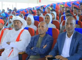 የብሔር ብሔረሰቦች ቀን መከበር ሀገራዊ እሴቶች እንዲጠበቁ ያስችላል።
