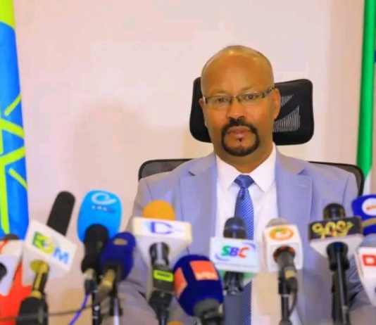 የብሔር፣ ብሔረሰቦች እና ሕዝቦች ቀን ሀገርን የሚያሻግሩ የጋራ ገዢ ትርክቶችን ለመገንባት ያስችላል።