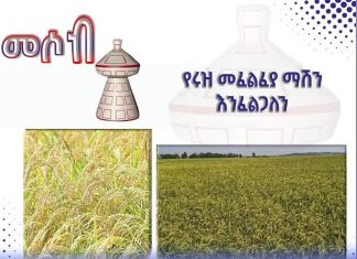 የሩዝ መፈልፈያ ማሽን እጥረት የምርት ጥራት እንዳይኖር አድርጓል። 