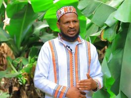 አርሶ አደሮችን ከባሕር ዛፍ ልማት ወደ ሙዝ ምርት እንዲሸጋገሩ በማድረግ ተጠቃሚ ማድረግ ተችሏል።