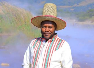 አርቶ ፍልውኃ የተፈጥሮ ስቲም