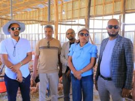 በዶሮ ርባታ ዘርፍ ተጠቃሚ መኾናቸውን የቃሉ ወረዳ ወጣቶች ተናገሩ።