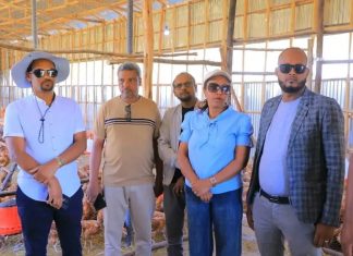 በዶሮ ርባታ ዘርፍ ተጠቃሚ መኾናቸውን የቃሉ ወረዳ ወጣቶች ተናገሩ።