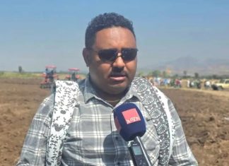 በኢትዮጵያ ከ4 ሚሊዮን ሄክታር በላይ መሬት በበጋ መስኖ ስንዴ ለማልማት እየተሠራ ነው።