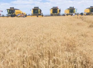 ሰብልን በኮምባይነር መሠብሠብ ምን ለውጥ አመጣ?