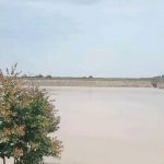 573633786_1259838029507452_4484815109417550380_n (1)