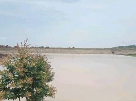 ከ300 በላይ አርሶ አደሮችን ተጠቃሚ እያደረገ ያለው አጓት ውኃ የመስኖ ፕሮጀክት