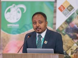 ለዱር እንሰሳት ተገቢውን ጥበቃ የሚያደርጉ ሀገራት ከቱሪዝም ዘርፉ ተጠቃሚ ናቸው።