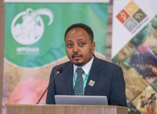 ለዱር እንሰሳት ተገቢውን ጥበቃ የሚያደርጉ ሀገራት ከቱሪዝም ዘርፉ ተጠቃሚ ናቸው።