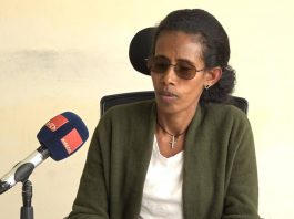 በደብረ ማርቆስ ከተማ የግንባታ ፈቃድ ወስደው ወደ ግንባታ ባልገቡ ደንበኞች ላይ እርምጃ እየተወሰደ ነው።