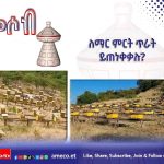 ለማር ምርት ጥራት ይጠነቀቃሉ ? 574911564_1258864642938124_4602802115454415364_n
