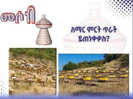 ለማር ምርት ጥራት ይጠነቀቃሉ ?
