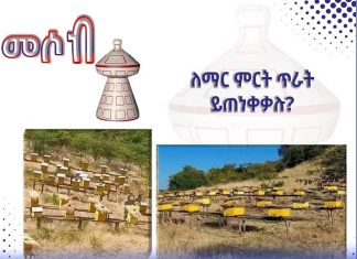 ለማር ምርት ጥራት ይጠነቀቃሉ ?
