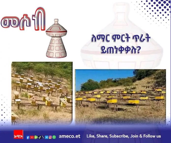 574911564_1258864642938124_4602802115454415364_n